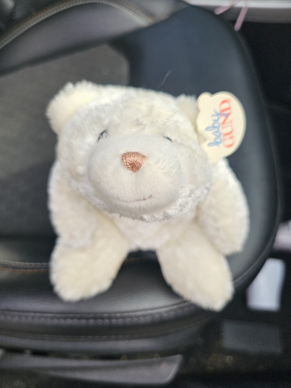 Gund Cream Plush Bear with Light Brown Nose - Baby Gund